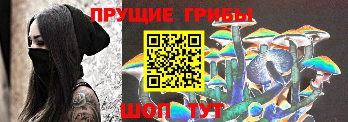 Назрань  купить  цена  Вход с VPN  Галлюциногенные грибы MAGIC MUSHROOMS 